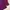 thisisneverthat Streetwear Hoody Pria purple pink photo 5
