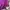 THISISNEVERTHAT Damaged Logo Popover Hoodie - Purple   photo 5