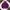 thisisneverthat Streetwear Hoody Pria purple pink photo 6