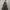 Minimalist Summer dress Wanita gray photo 2
