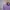 Columbia Gorpcore Windbreaker Wanita purple photo 1