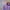 Columbia Gorpcore Windbreaker Wanita Purple