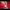 Sportswear Hoody Pria Red
