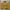 Made in USA Vintage Streetwear Fleece Pria yellow photo 6