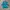 Starter Vintage Sportswear Windbreaker Pria blue photo 2