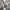 Dickies Minimalist Hoody Pria gray photo 8