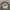 Streetwear Sportswear Windbreaker Pria white navy photo 1