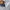 Descente Streetwear Casual Sweatshirt Pria gray photo 3