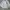 Descente Streetwear Casual Sweatshirt Pria gray photo 1
