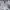 Descente Streetwear Casual Sweatshirt Pria gray photo 2