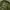 Streetwear Bomber jacket Pria green photo 2