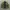 Streetwear Bomber jacket Pria green photo 4
