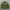 Streetwear Bomber jacket Pria green photo 3