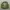 Streetwear Bomber jacket Pria green photo 1