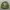 Streetwear Bomber Jacket Pria Green