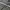 Adidas Streetwear Casual Hoody Pria gray photo 6