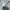 Adidas Streetwear Casual Hoody Pria gray photo 4