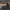 Columbia Streetwear Casual Ankle boots Pria tan brown photo 4