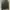Nike Streetwear Sportswear Hoody Pria navy photo 2