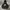 Nike Streetwear Sportswear Hoody Pria black photo 1