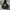 Nike Streetwear Sportswear Hoody Pria Black