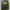Dickies Streetwear Y2K Hoody Pria gray yellow photo 2