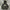 Dickies Streetwear Y2K Hoody Pria gray yellow photo 1