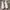Adidas Sportswear Casual Sneakers Pria white photo 2
