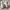 Adidas Sportswear Casual Sneakers Pria white photo 4