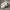 Adidas Sportswear Casual Sneakers Pria white photo 1