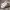 Adidas Sportswear Casual Sneakers Pria White