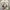 Adidas Sportswear Casual Sneakers Pria white photo 5