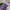 Vintage Y2K Crop top Wanita purple photo 2