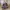 Vintage Y2K Crop Top Wanita Purple