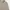 Vintage Formal shirt Pria tan cream photo 3