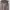 Vintage Harrington jacket Pria brown photo 7