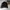 Biker Windbreaker Pria black photo 1
