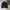 Biker Windbreaker Pria black photo 3