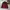 Biker Windbreaker Pria red black photo 1