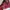 Biker Windbreaker Pria red black photo 8