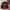 Biker Windbreaker Pria red black photo 2