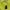 Stone Island Streetwear Casual Hoody Pria multicolor yellow photo 5