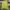 Stone Island Streetwear Casual Hoody Pria multicolor yellow photo 2