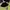 Ellesse Sportswear Casual Hat Pria black photo 2