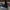 VANS Streetwear Skater Sneakers Pria black photo 1