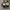 VANS Vintage Y2K Sneakers Pria white black photo 1