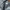 Vintage Harrington jacket Pria black photo 4