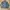 Vintage Harrington jacket Pria black photo 5