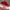 Vintage Y2K Hat Pria white red photo 2