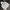 Carhartt Vintage Hoody Pria gray photo 4